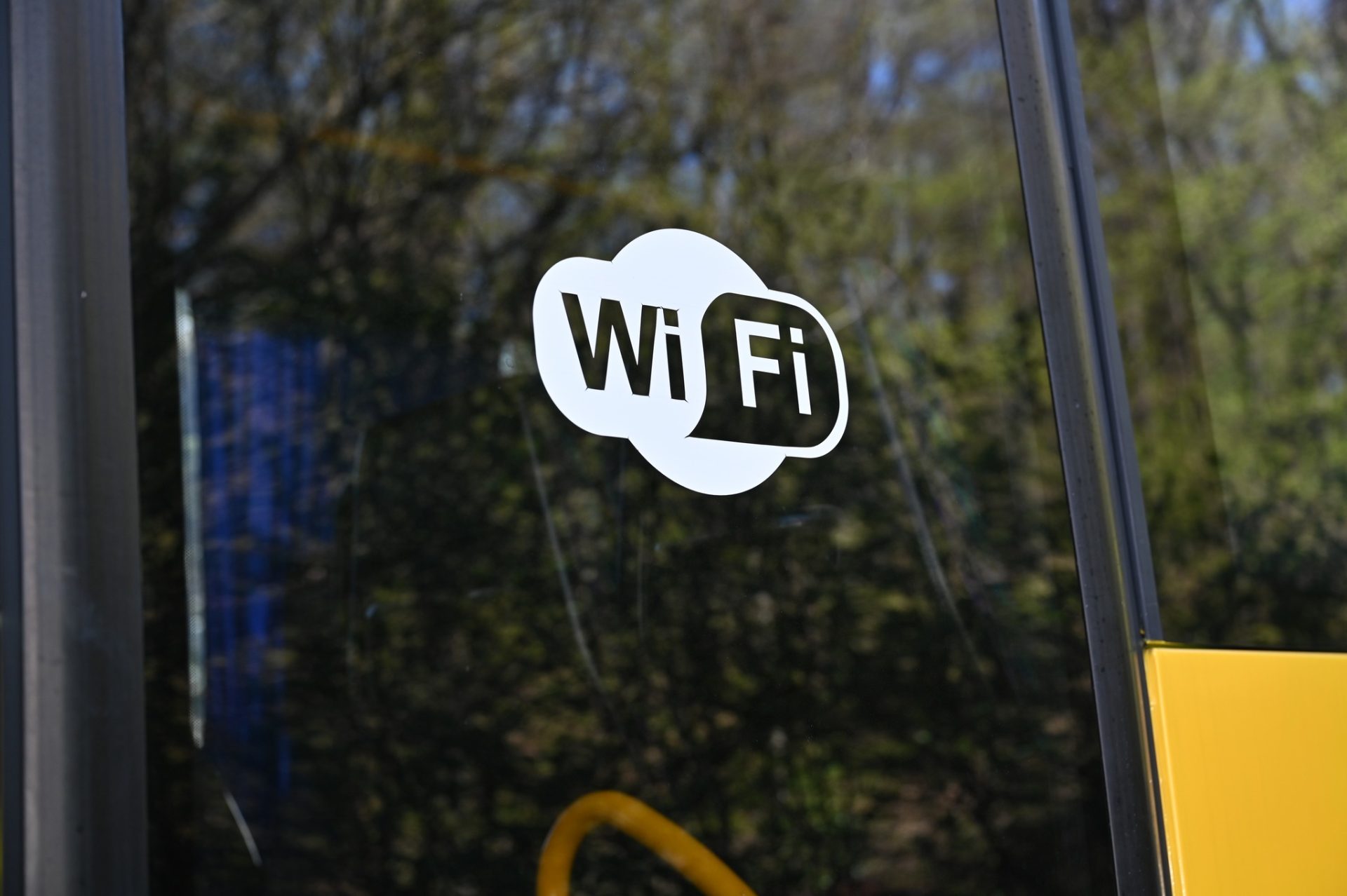 На Закарпатті відкрили сучасне екомістечко для дітей із прифронтових регіонів 43 На Закарпатті відкрили сучасне екомістечко для дітей із прифронтових регіонів