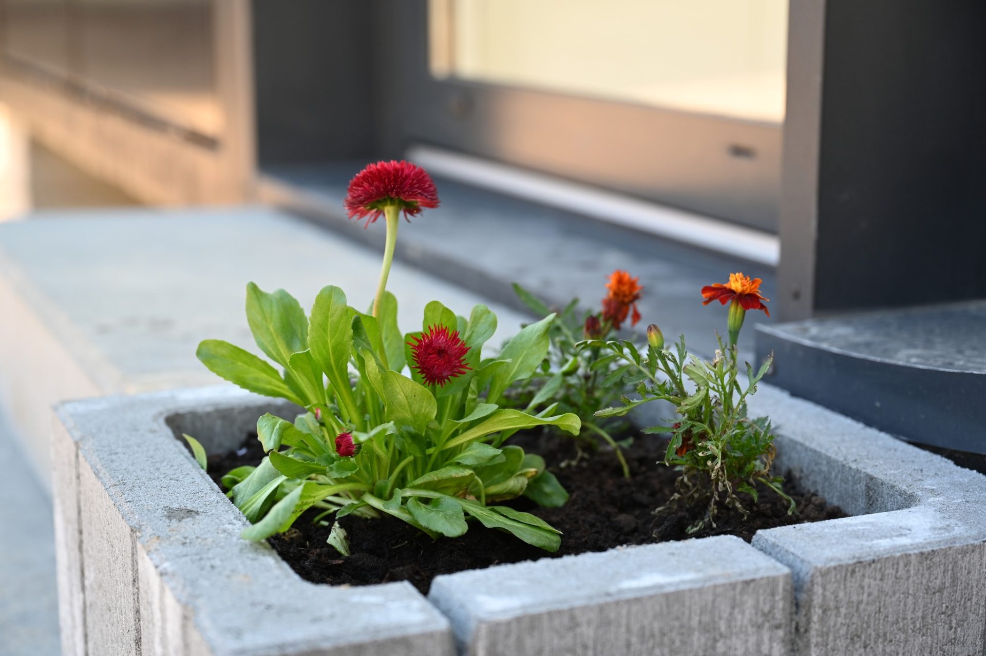 На Закарпатті відкрили сучасне екомістечко для дітей із прифронтових регіонів 25 На Закарпатті відкрили сучасне екомістечко для дітей із прифронтових регіонів