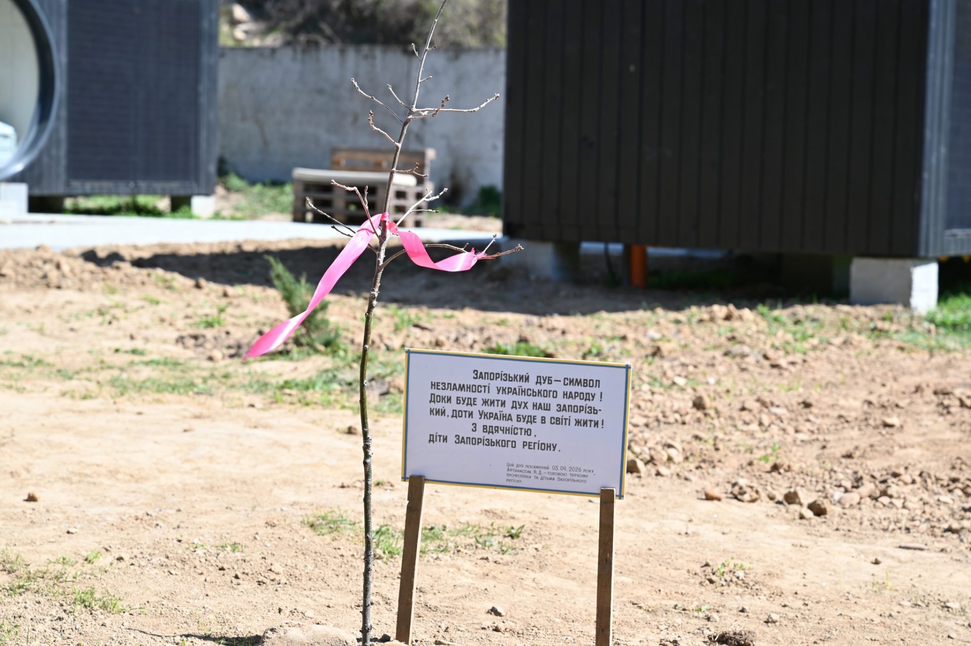 На Закарпатті відкрили сучасне екомістечко для дітей із прифронтових регіонів 38 На Закарпатті відкрили сучасне екомістечко для дітей із прифронтових регіонів