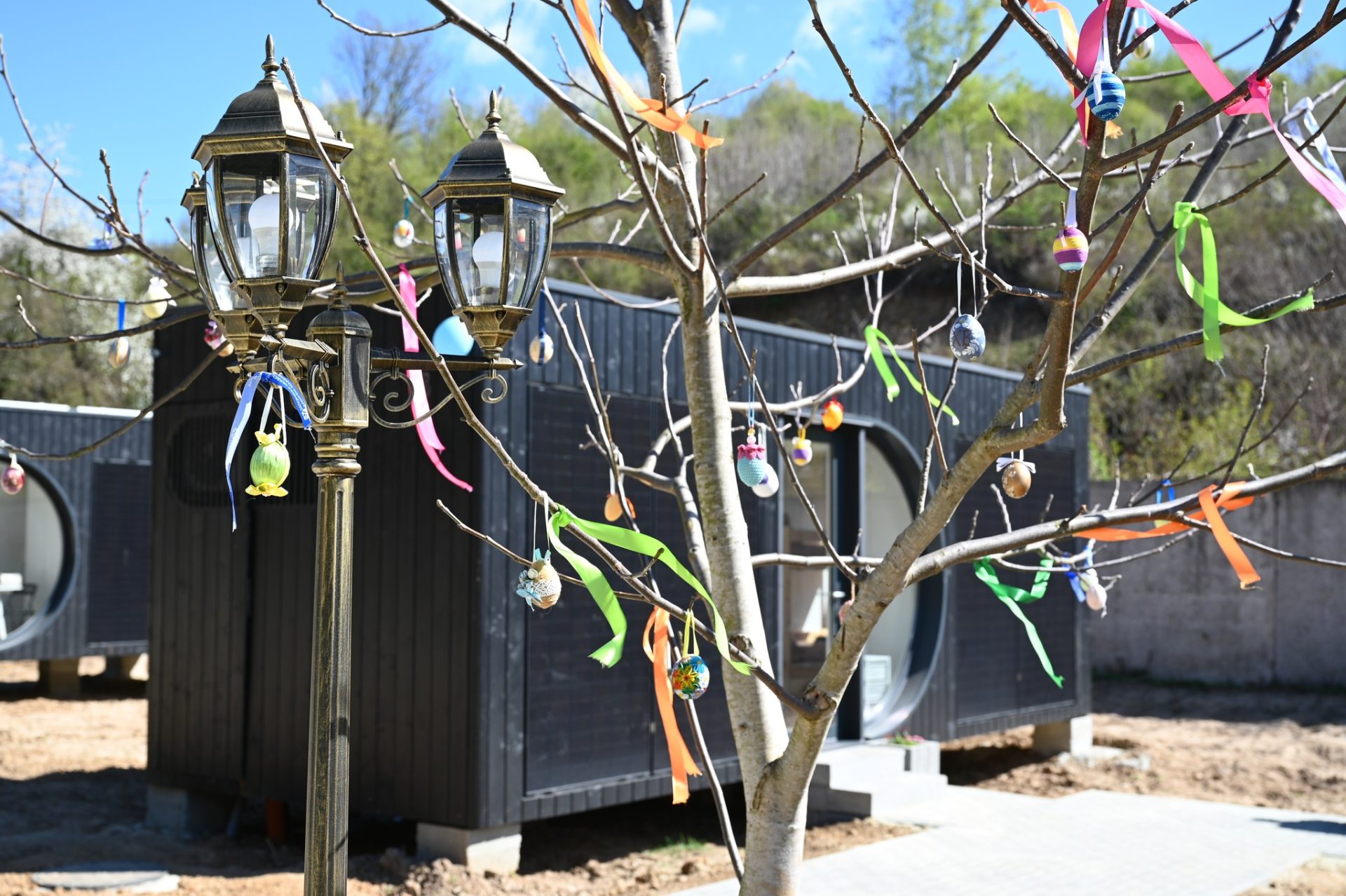 На Закарпатті відкрили сучасне екомістечко для дітей із прифронтових регіонів 15 На Закарпатті відкрили сучасне екомістечко для дітей із прифронтових регіонів