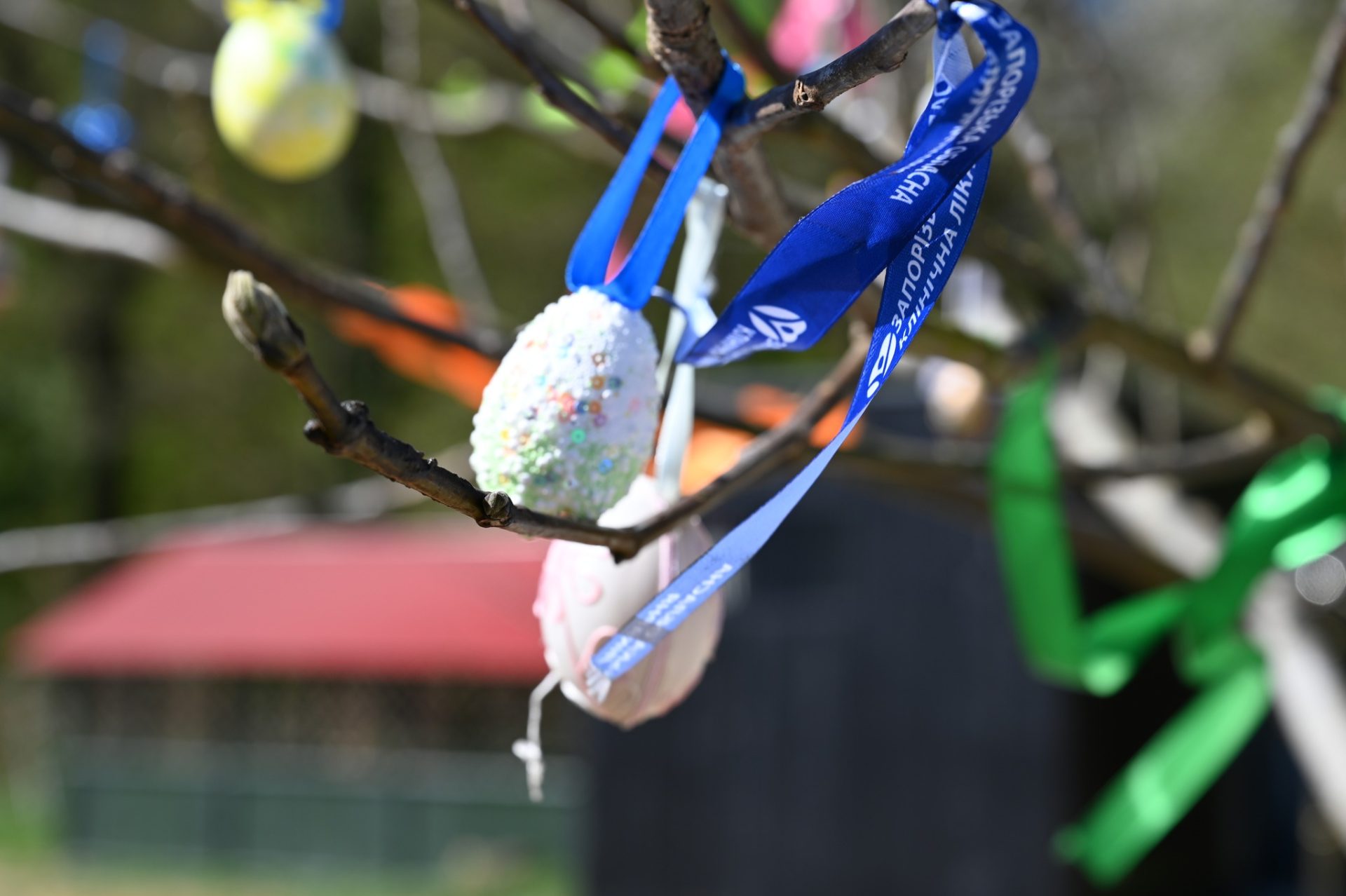 На Закарпатті відкрили сучасне екомістечко для дітей із прифронтових регіонів 8 На Закарпатті відкрили сучасне екомістечко для дітей із прифронтових регіонів